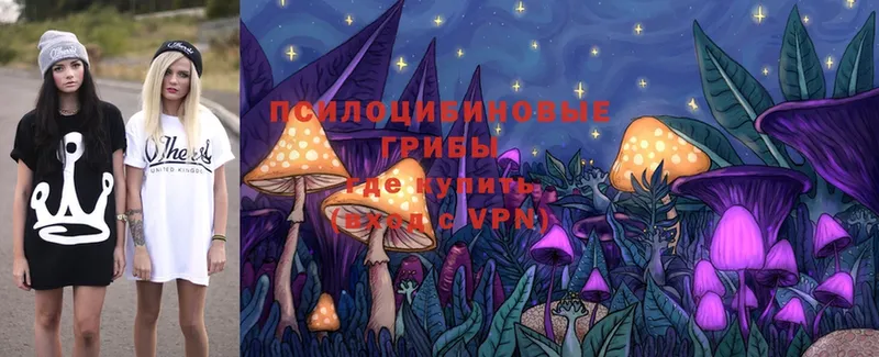 Псилоцибиновые грибы MAGIC MUSHROOMS  Ярцево 